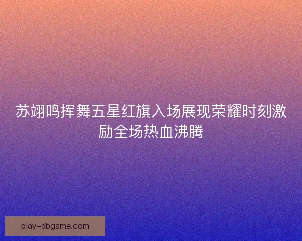 苏翊鸣挥舞五星红旗入场展现荣耀时刻激励全场热血沸腾